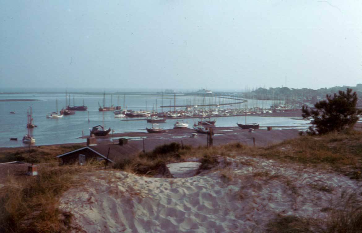 dellewal-1985 2 dellewal-1985 2