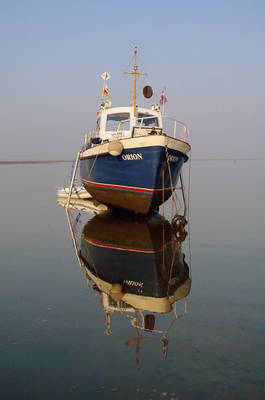 engelsmanpl-3 engelsmanpl-3